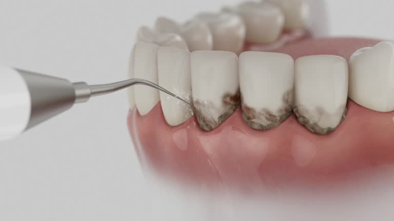 Reliable Dental contractor in Venice, IL by Dentist Open Now